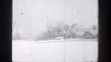 Chelan Washington (1939): A Forest With Many Trees And Two People On A Small Boat