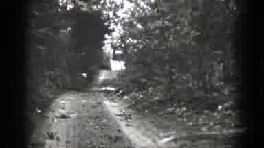 Chelan Washington (1939): Day Scene Of A Rural Dirt Road In A Forest With Wheel