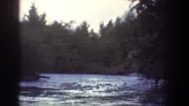 Chelan Washington (1939): Explorer Observing Nature In The Forest