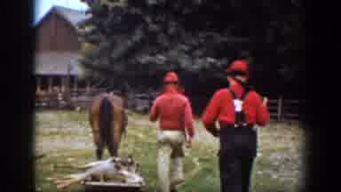 Chelan Washington (1939): Three Men Wearing Red Shirts Haul Load Of Wood By Horse