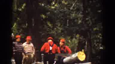 Chelan Washington (1939): Group Of Men Dressed In Red Working With Tree Removal