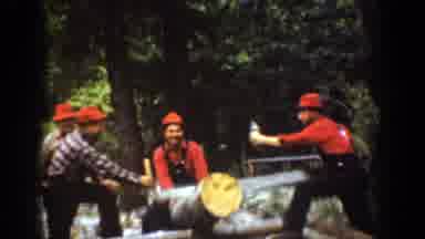 Chelan Washington (1939): Lumberjacks With Red Hats Very Happy Cutting A Big Log