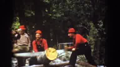 Chelan Washington (1939): Group Of Men Working On Sawing Trees In The Forest