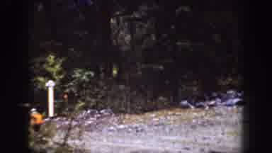 Chelan Washington (1939): A Yellow Pickup Going Through The Forest And A Big