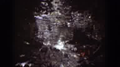 Chelan Washington (1939): Trail In The Middle Of A Green Forest With Dense