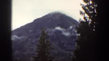 Chelan Washington (1939): View Of Mountainous Forest With Bushes Rocks And Trees