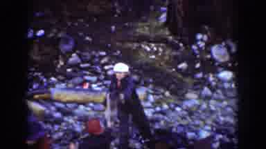 Chelan Washington (1939): Men Working In The Forest