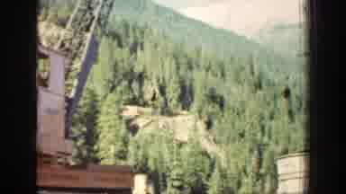 Chelan Washington (1939): Winch Of A Work In The Middle Of A Pine Forest