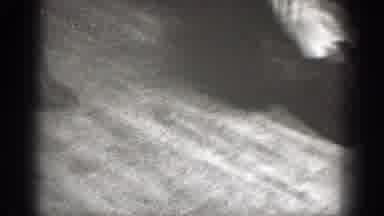 Chelan Washington (1939): Several Men Laughing And Dressed In Dark Clothes