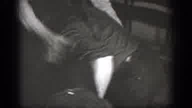 Chelan Washington (1939): Small Group Of People Watching Two Men Fight In A Room