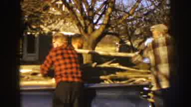 Nebraska (1959): A Large Family Gathering Firewood In Their Backyard On A Sunny