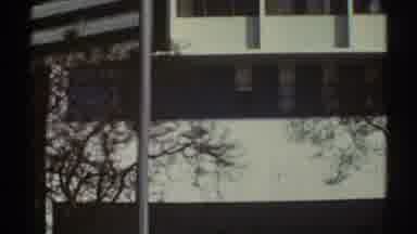 Los Angeles California (1969): Building With Trees In front Of It