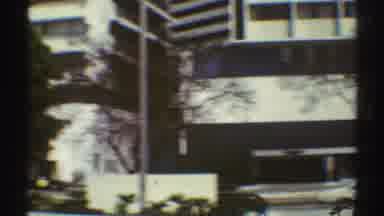Los Angeles California (1969): Trees And Cars Passing By On The Street With Huge