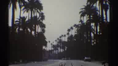 Los Angeles California (1969): An Empty Street Lined With Palm Trees And A Car