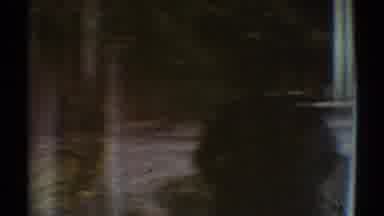 Los Angeles California (1969): Person Watching The Landscape Of His Backyard
