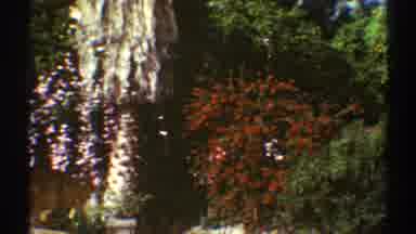 Los Angeles California (1969): A Beautiful Garden In Front Of A Building With Some