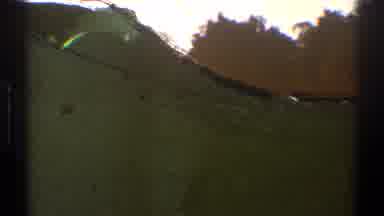 Los Angeles California (1969): Stroll In A Beautiful And Green Garden With Many