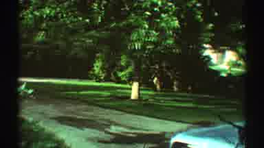 Los Angeles California (1969): Blue Car Parked Near Large Green Tree On A Clear