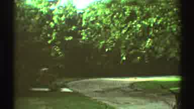 Los Angeles California (1969): The Good Garden Of The Neighbor