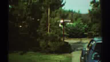 Los Angeles California (1969): View Of Blue Car Parked Near Green Trees On A Clear