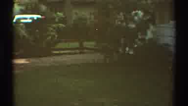 Los Angeles California (1969): View Of Wooded Land With Grass And Shrubs