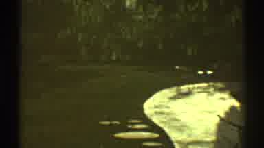Los Angeles California (1969): Panoramic View Of Wooded Backyard With Beautiful