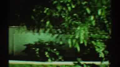 Los Angeles California (1969): Panoramic View Of Several Trees In The Backyard
