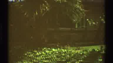 Los Angeles California (1969): The Yard In Front Of This House Is Lush Green And