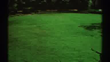 Los Angeles California (1969): View Of Green Grass And Brown Bench On A Sunny Day