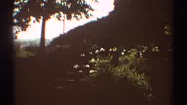 Los Angeles California (1969): View Of Stone Steps And Green Tree On A Sunny Day
