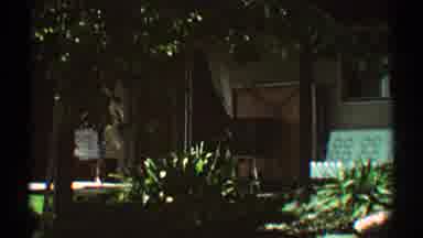Los Angeles California (1969): Beautiful Green Garden With Grass And Hedges