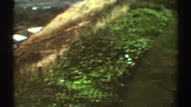 Los Angeles California (1969): An Old Video Captured From An Air Plane Of Some