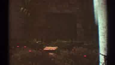Los Angeles California (1969): View Of Blooming Red Flowers And Palm Trees On A