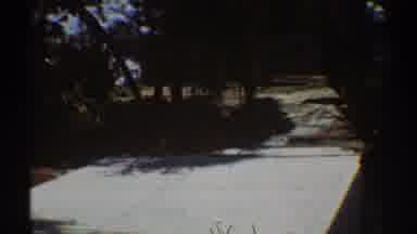 Los Angeles California (1969): Closeup View Of White Stone Wall And Green Trees On