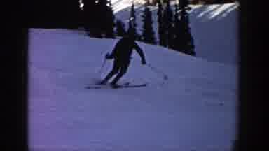 Aspen Colorado (1961): Man Skiing On Frozen Mountain With Pine Trees In The