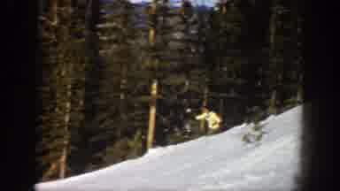 Aspen Colorado (1961): Person Skiing Down Mountain Slope In Sunny Area Trees In