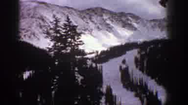 Aspen Colorado (1961): Trees On The Mountain Alps During Winter