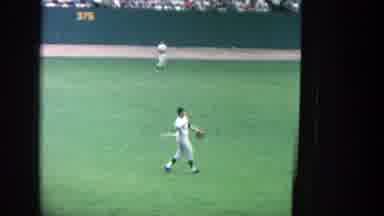 Yankee Stadium New York (1964): Man Wearing White Baseball Uniform Throws White