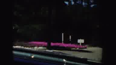 California-1952: Car Drives Past Ocean and Pink Flowers with Dashboard Ornament