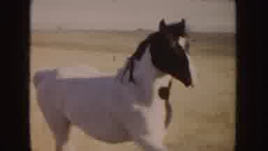 Idaho (1955): A White And Black Horse Gallops In A Grassy Field While A White