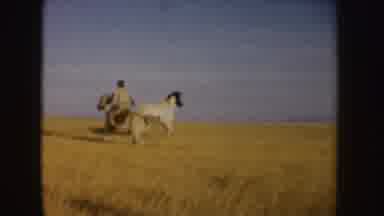 Idaho (1955): Person Wearing Grey Jacket Rides Horse Through Tan Field On A Sunny