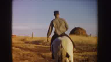 Riding off into the sunset... and probably some horse poop too!