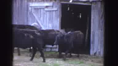 Idaho (1955): Farm And Country Life How A Day Begin