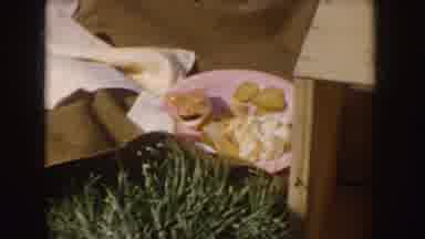 Idaho (1955): Man Wearing Red Shirt Roasts Hot Dog On Stick On A Sunny Day