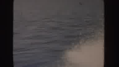 Idaho (1955): Big Lake Nature Wild Water Sky Near Park Wild Forest