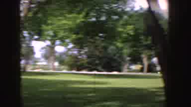 Idaho (1955): Peacock Bird Free Roaming Zoo Grounds Showing Plumage Near Food