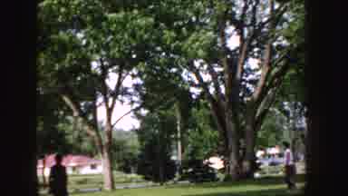 Idaho (1955): Two People Under The Roof Of Trees