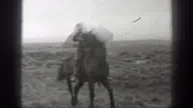 Montana-1939: Person Rides Horse on Ranch Land with Cows in Distance