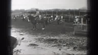 Montana (1939): A Man Riding On A Horse Behind A Walking Cow In A Pen With Mud