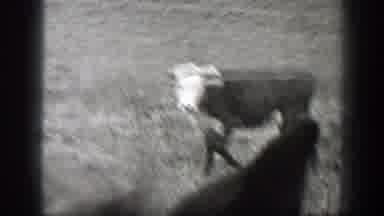 Montana (1939): The Lonely Girl With A Broken Gaze Cried Throughout The Night